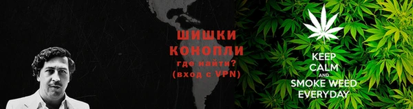 мдпв Кукмор