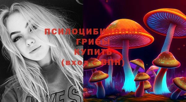 ECSTASY Куйбышев