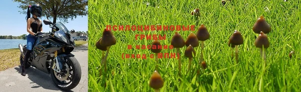 мдпв Кукмор