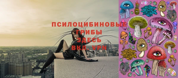 бошки Краснотурьинск
